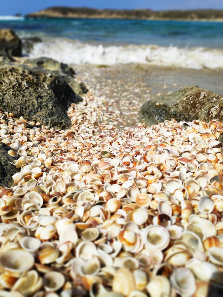 sea
