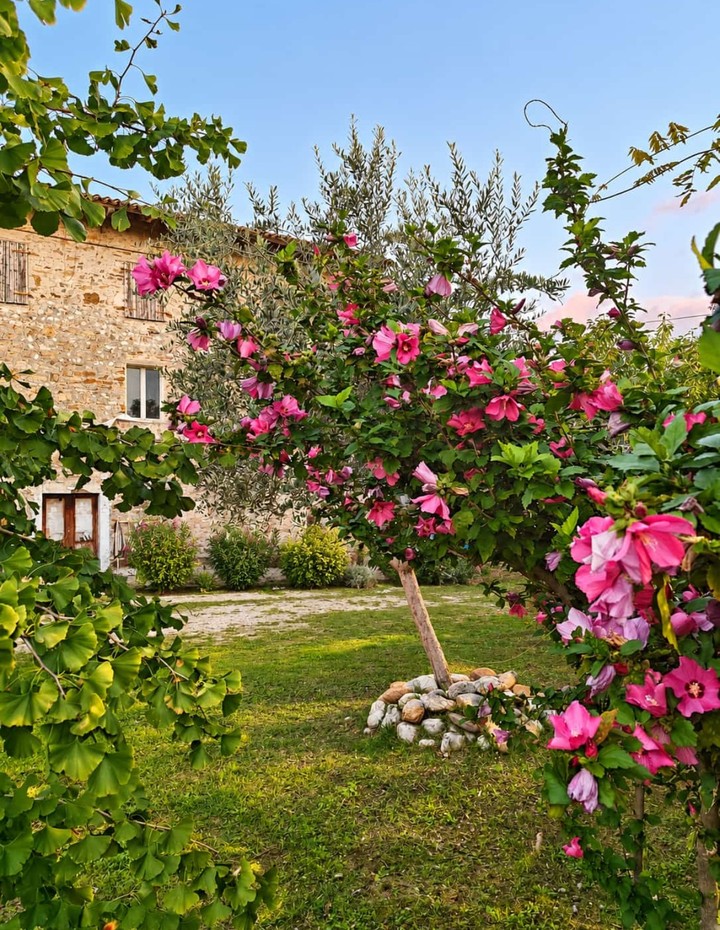 Giardino
