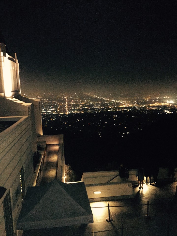 Night Life 