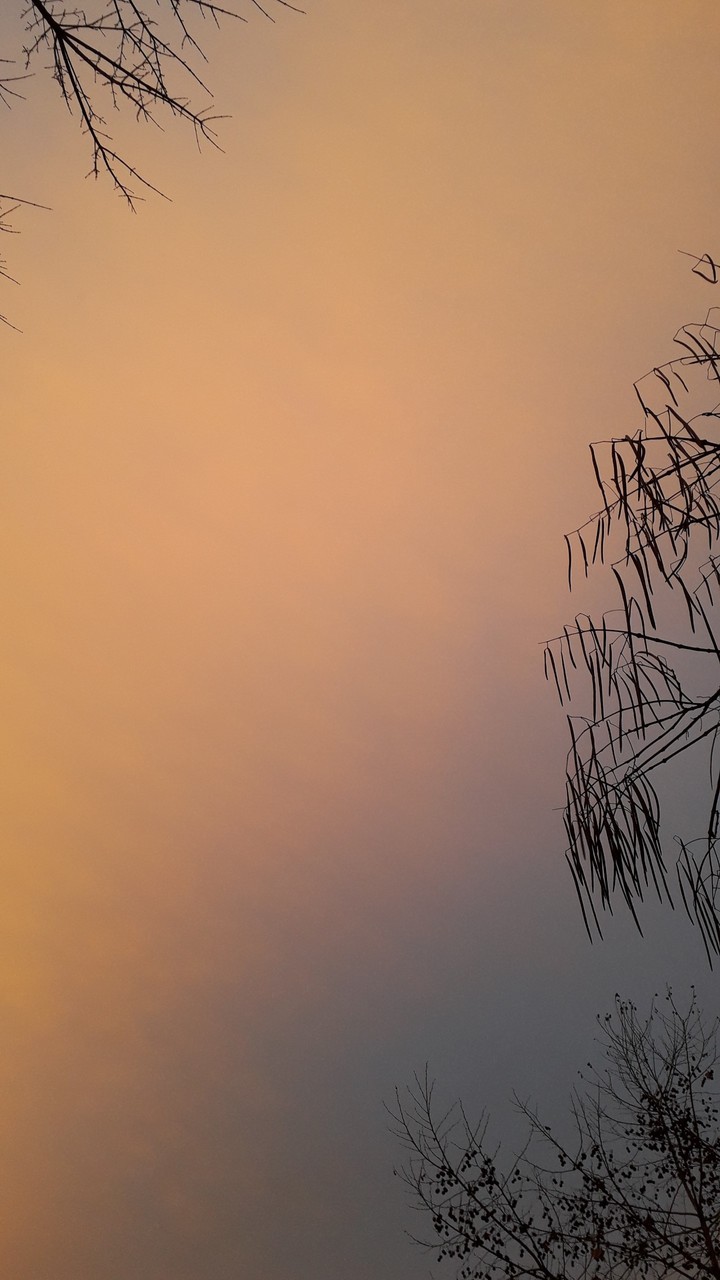sky
