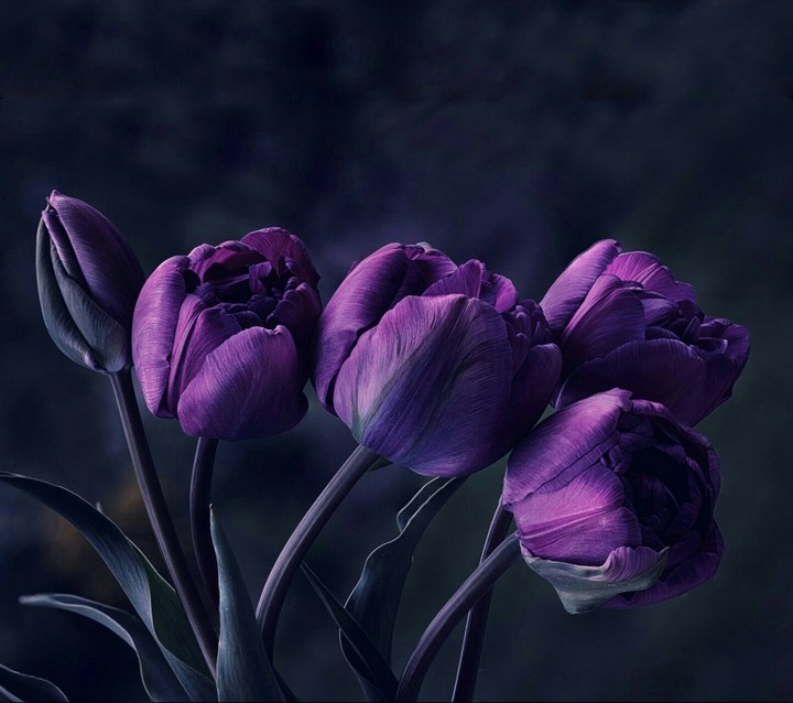 purple