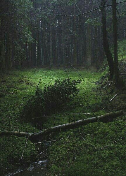 ,