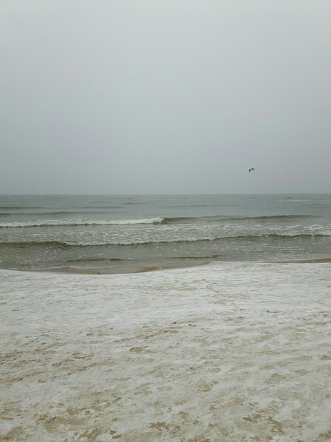 Baltic Sea
