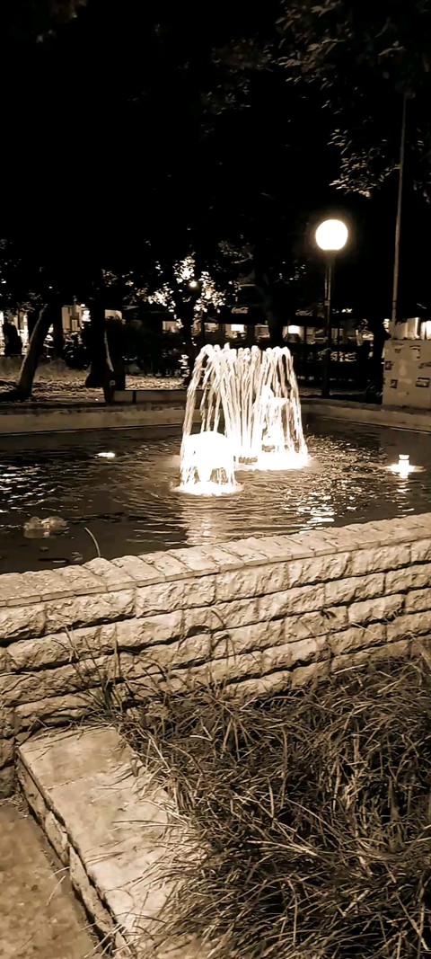 Night Vision