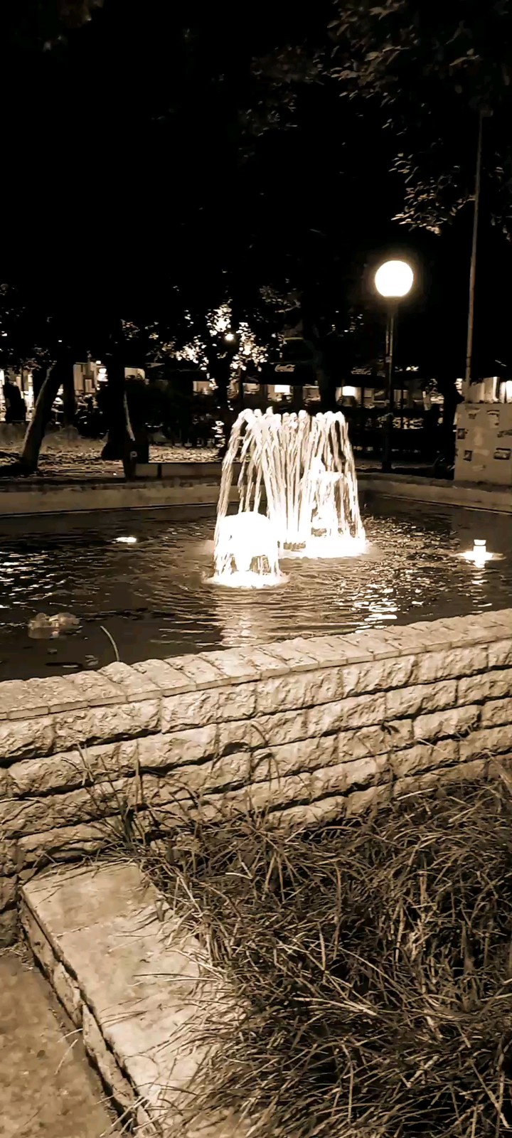 Night Vision