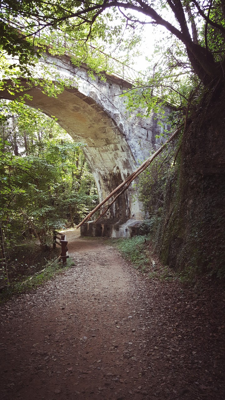 Bridge