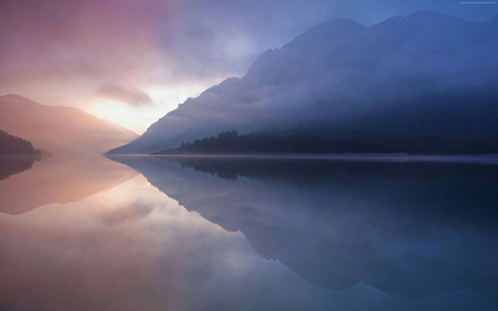 Fog