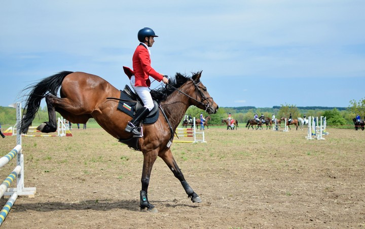 horse jumping