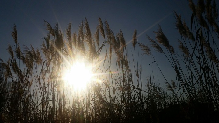 sunny