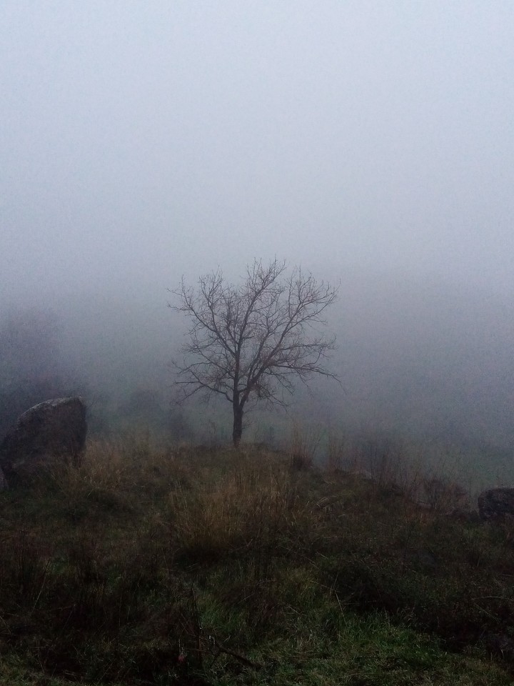 fog