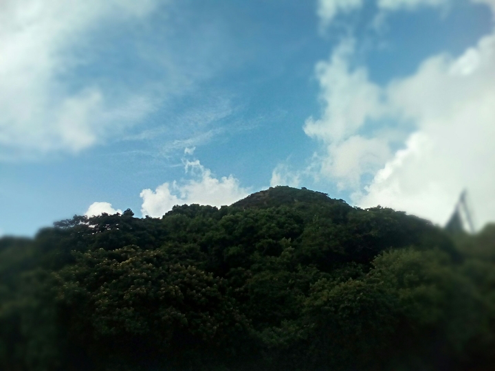 lonely hill