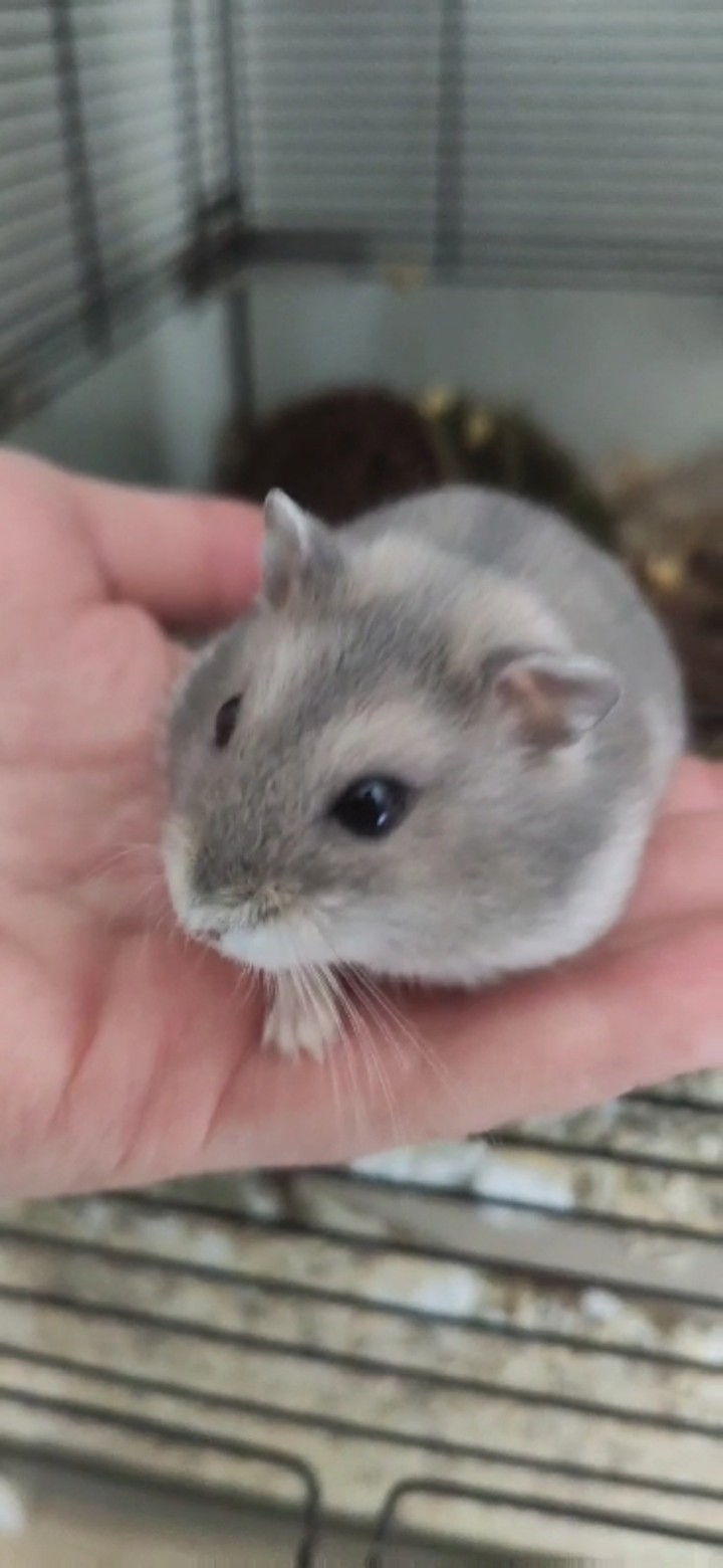 Binky ❤️