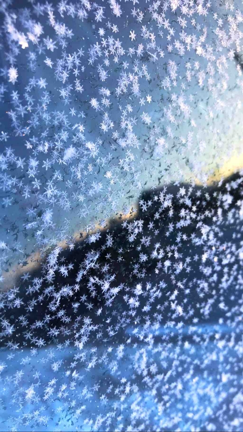 winter