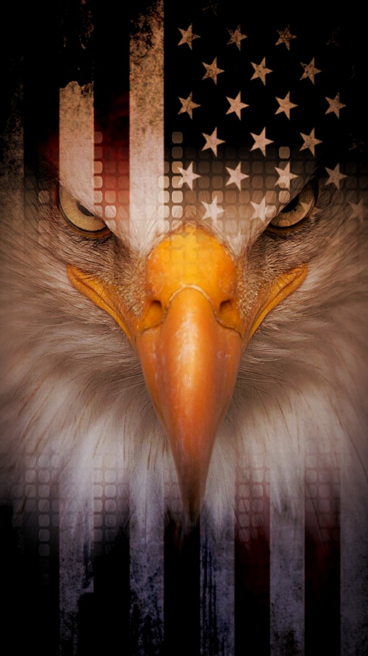 Eagle American Flag