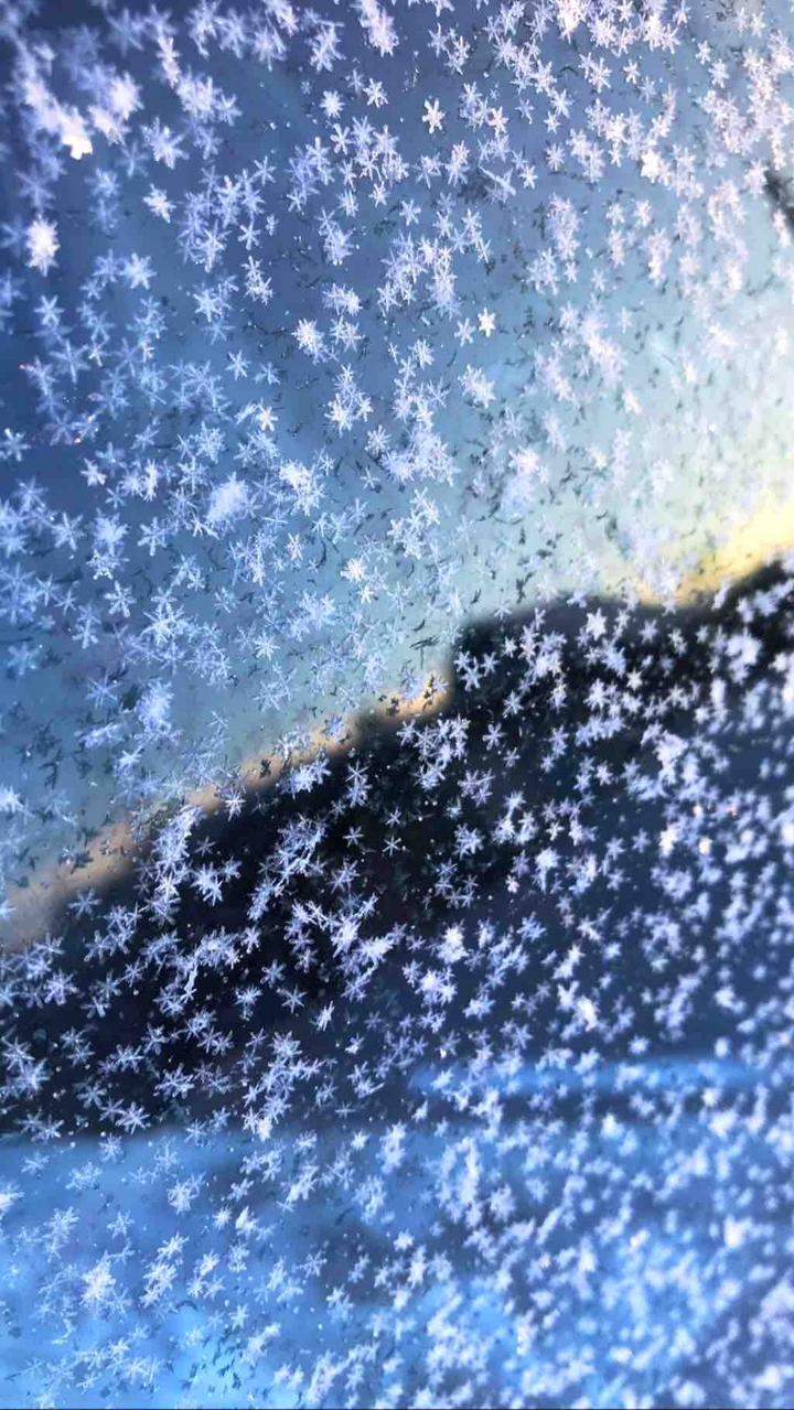 winter