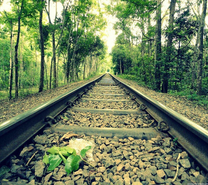 pathway
