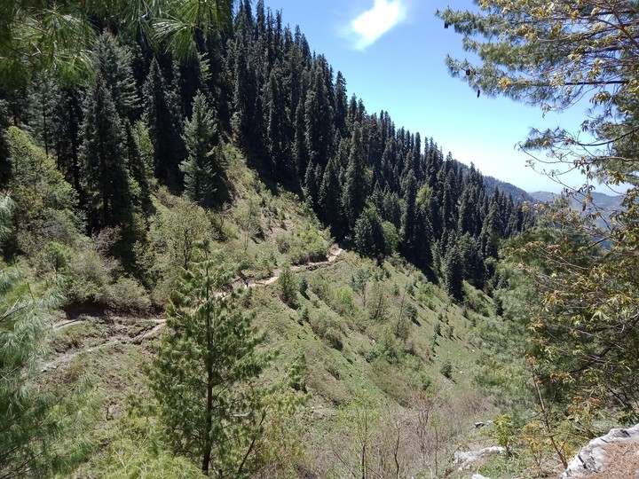 Trekking...