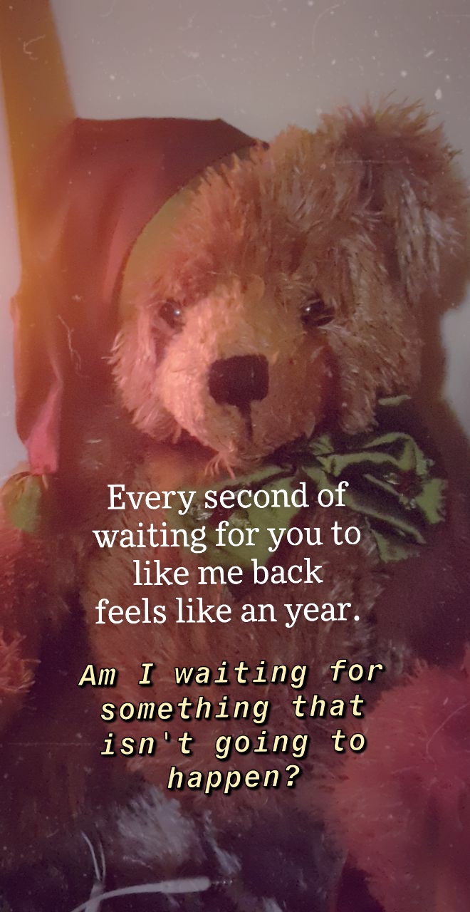 teddy quote