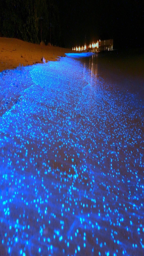 blue