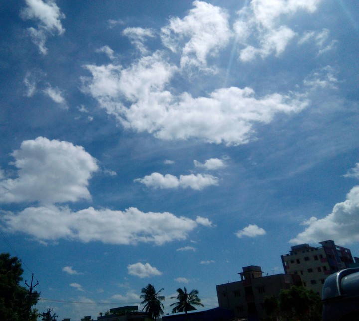coulds
