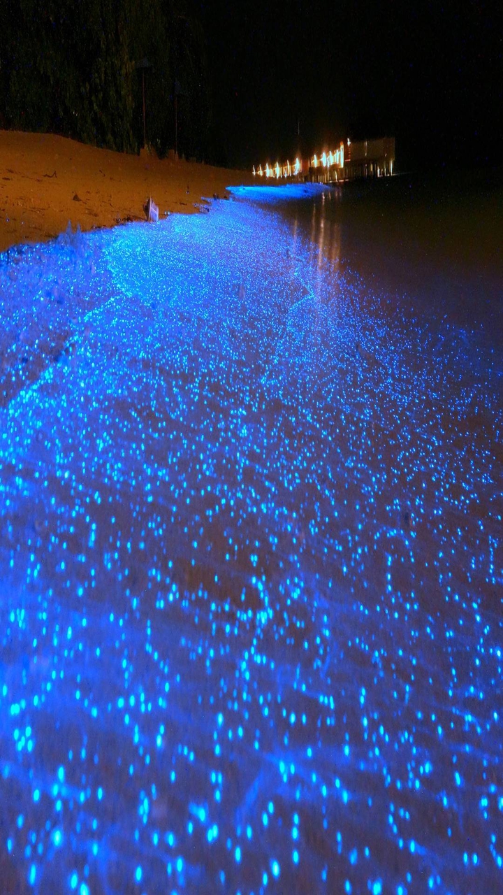 blue