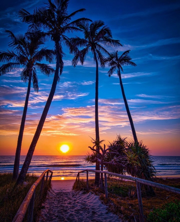 Sea Sunset
