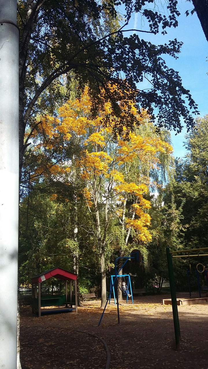 осень