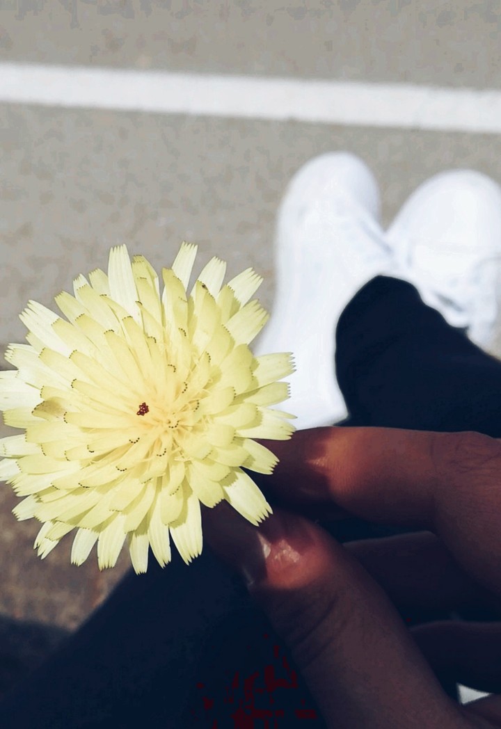 love nature