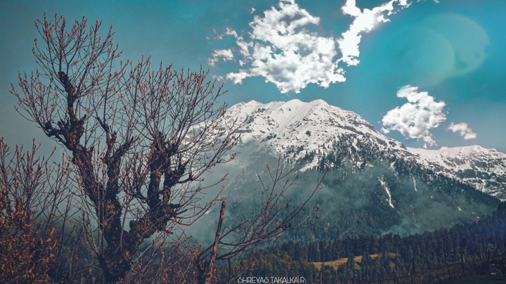 SHOW PEAK