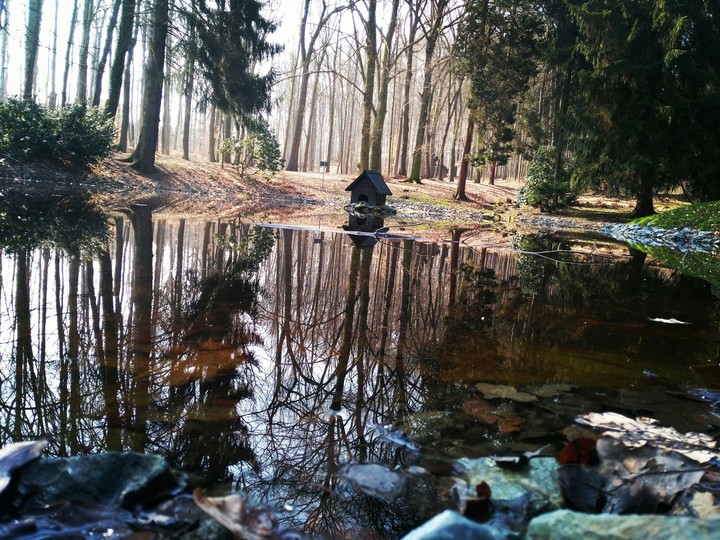 Park