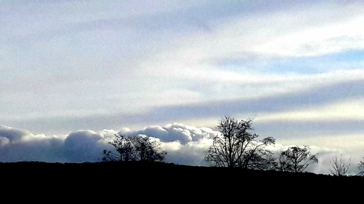 puffy clouds