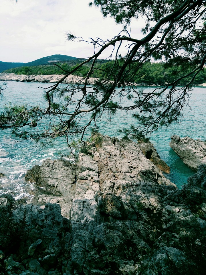 Sea