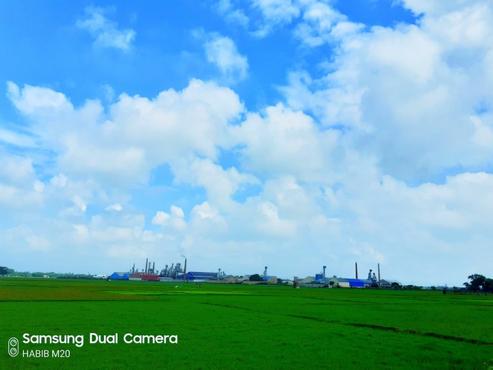 Village side nature