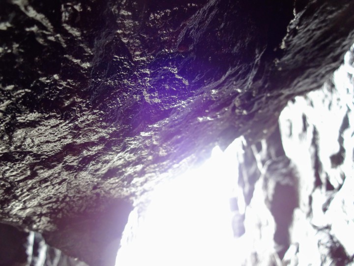 seeking for the light