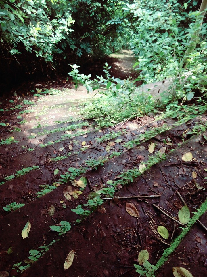 #green #step #forGood