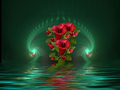 Amazing flowers