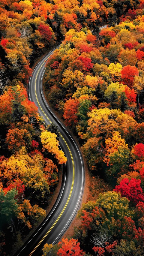Autumn, Rolling háttérképek