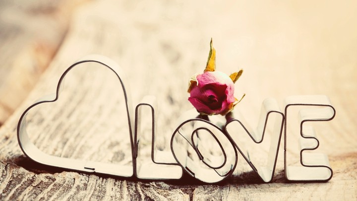love