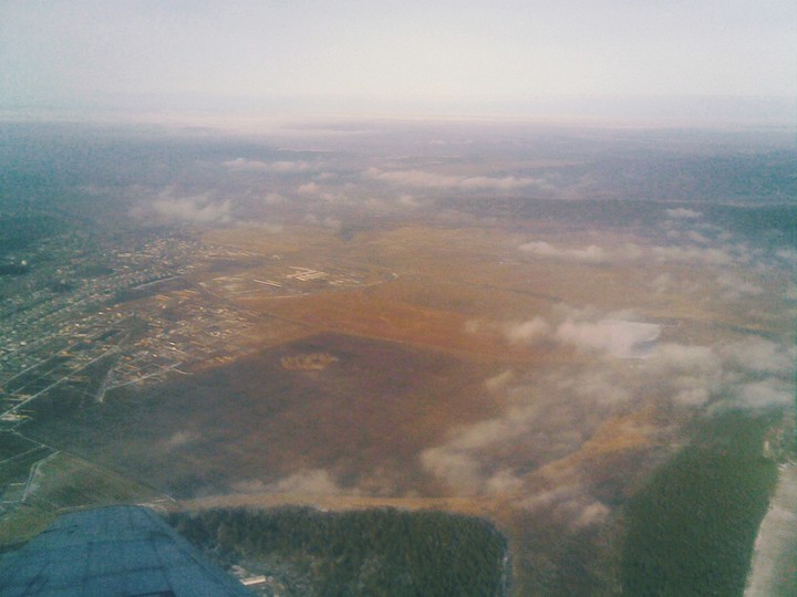 On the wing of the plane