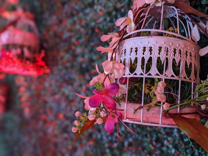 Flower Background
