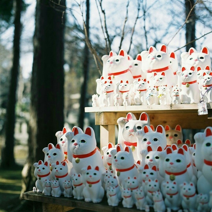♥