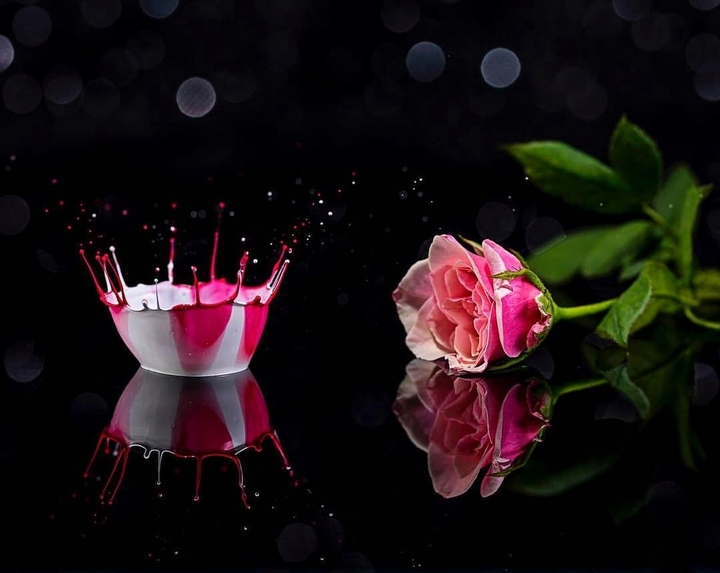 Crown & Rose