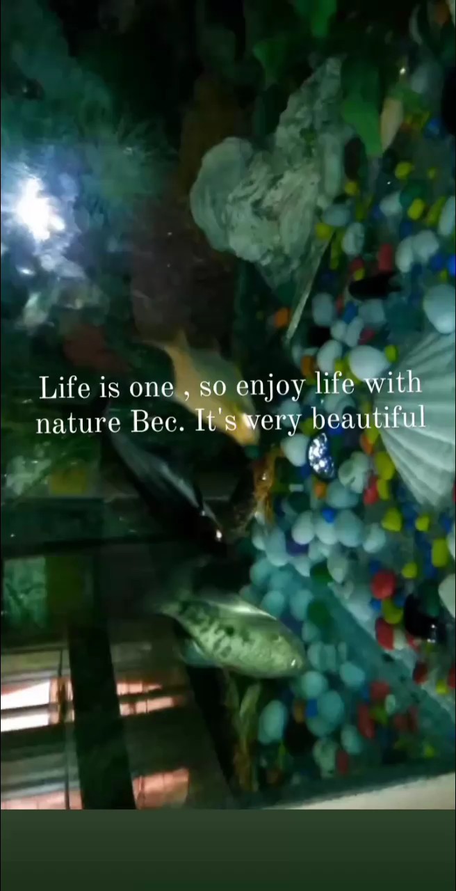 ..