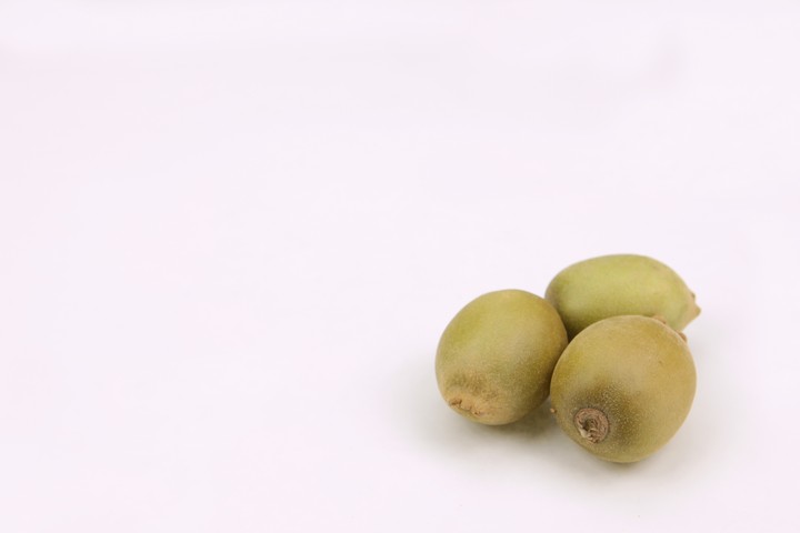 음식이미지