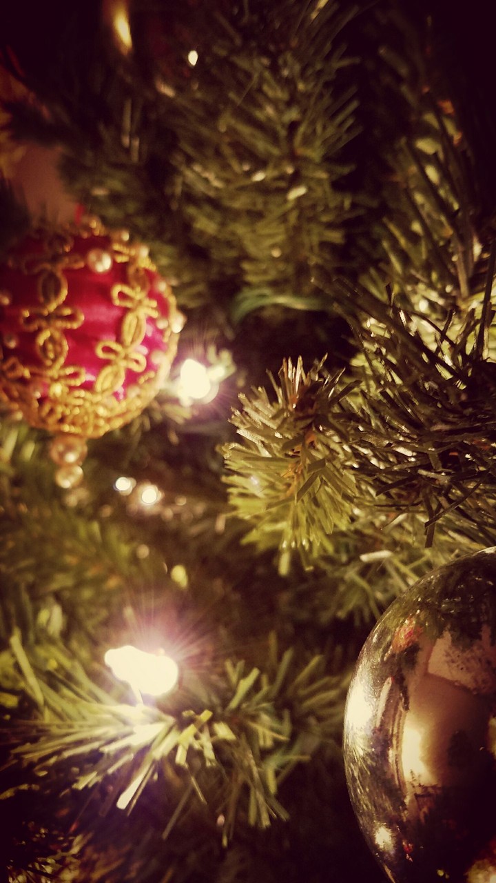 Feeling Festive