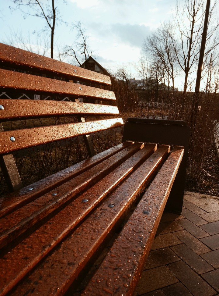 After the rain