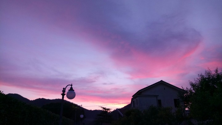Purple Haze *.*