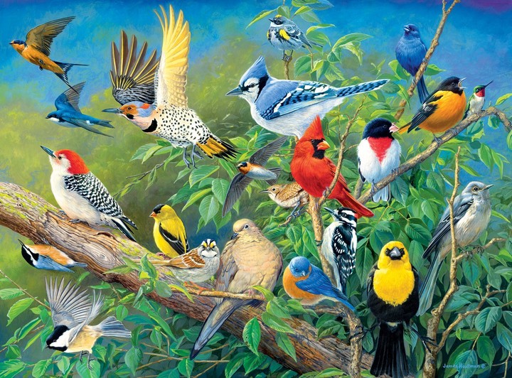 bird World