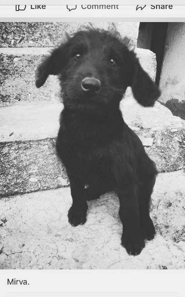 Black and white lives forever .