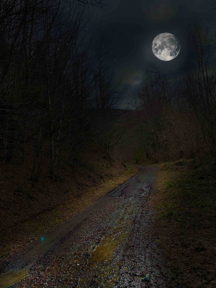 moonlight